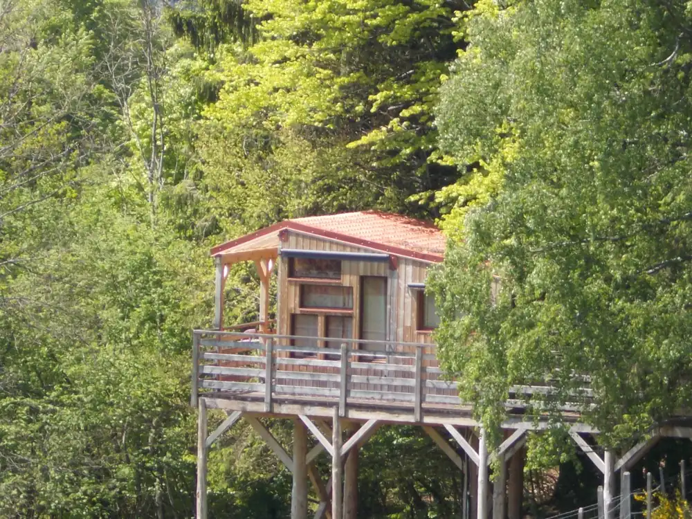 Cabane Des 3 Bouleaux